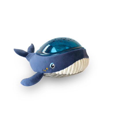 baleine aqua dream pabobo