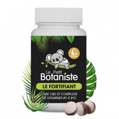 complement alimentaire immunite