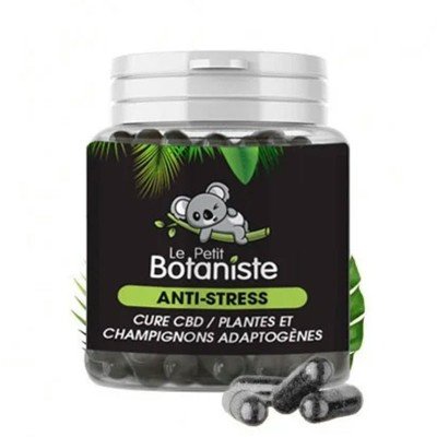capsule champignons adaptogenes