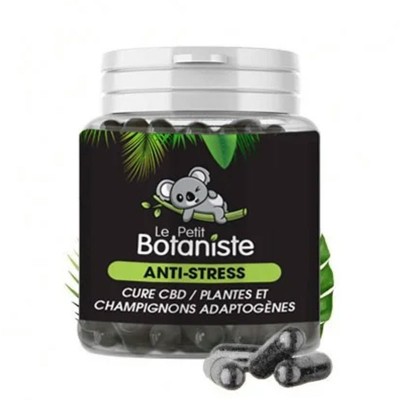 capsule champignons adaptogenes