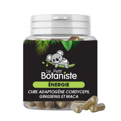 complément alimentaire anti-fatigue