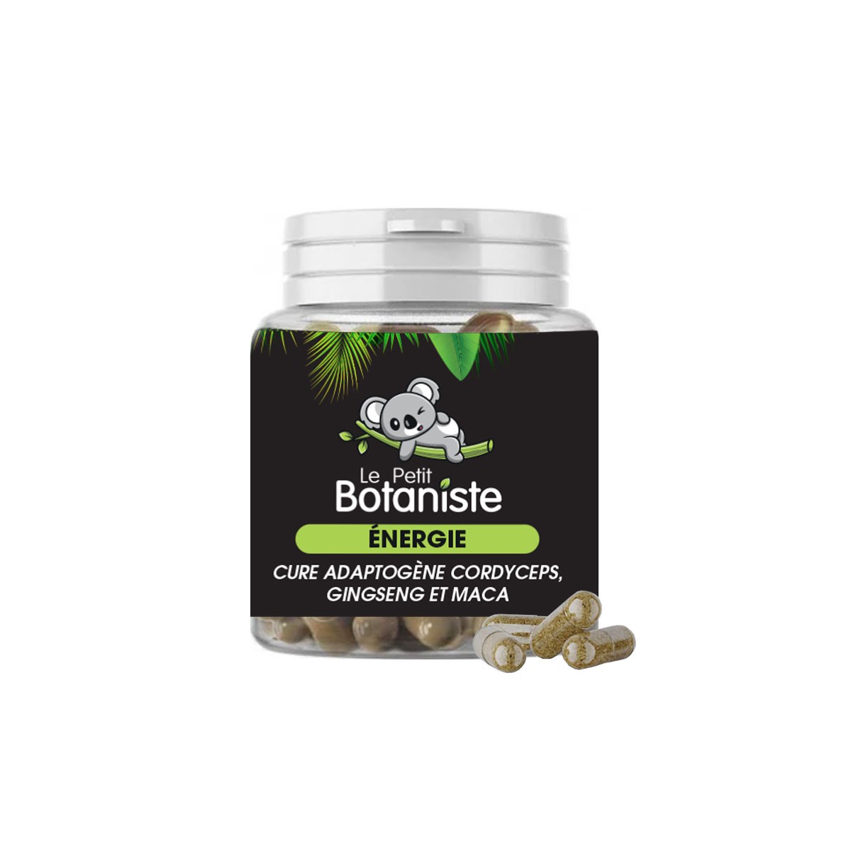 complément alimentaire anti-fatigue