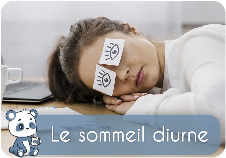 Sommeil diurne : que faire ? | somnolence excessive, symptôme, traitement, hypersomnie, cause
