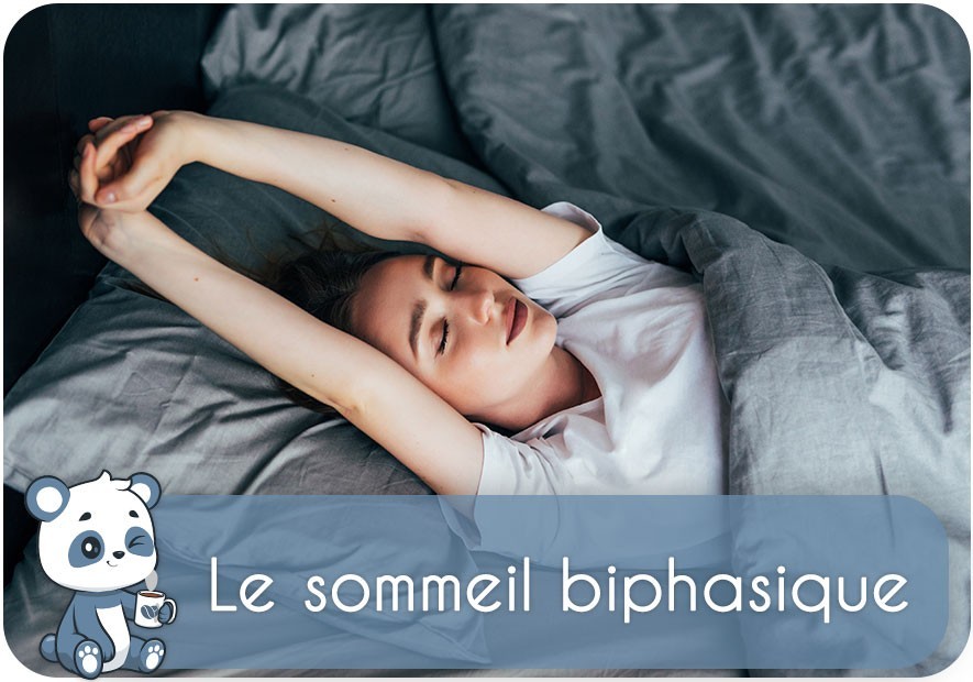 Sommeil Biphasique : dormir en deux fois la nuit | Bienfaits, avis, histoire, santé