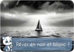 Est-ce qu'on rêve en noir et blanc ? | Signication, combien de personne, pourquoi