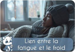 Lien entre la fatigue et le froid : envie de dormir, manque de sommeil