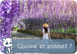 Glycine et sommeil profond : bienfaits, avis, comment la prendre pour dormir ?