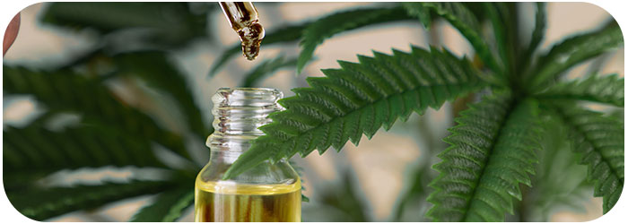 comment prendre des gouttes de cbd pour dormir