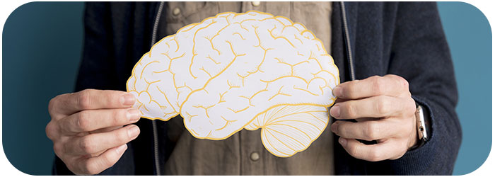 régénération cerveau