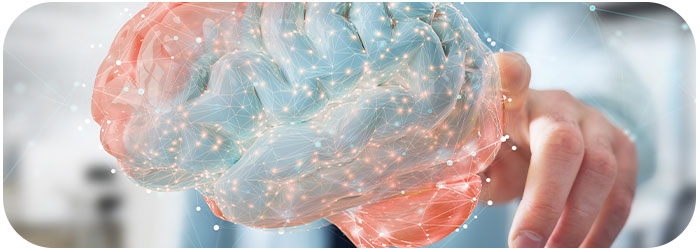 fréquence régénération cerveau