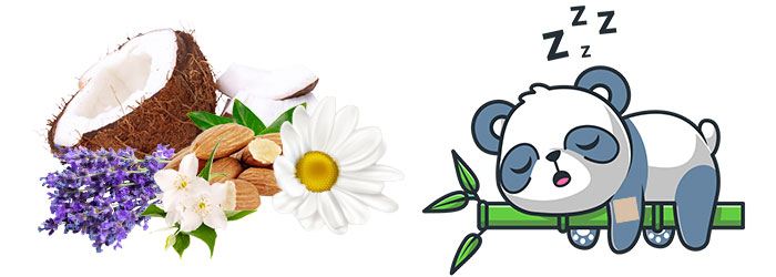 aide sommeil plantes